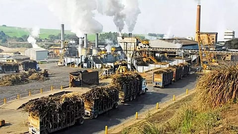 Sugarcane Crushing