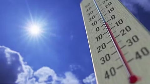 Weather Forecast