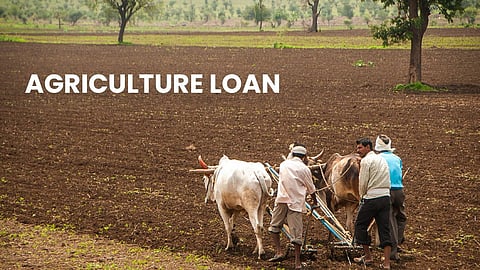 Agriculture Loan