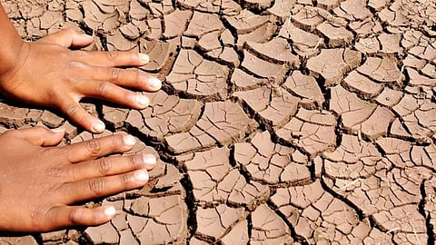 Drought Condition