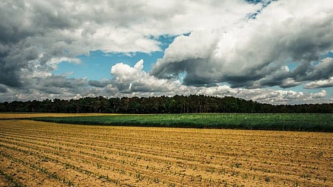 Weather