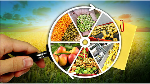 Food Processing