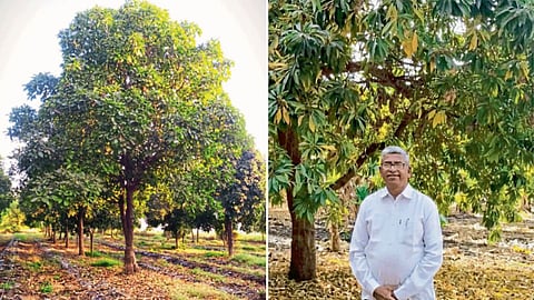 B. G. Mahajan