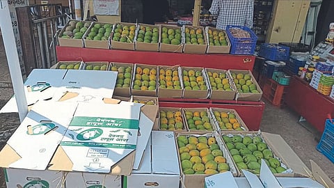 Mango Market
