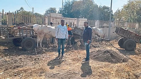 Sand Excavation