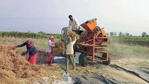 Chana