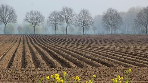 Land Fragmentation Gazette