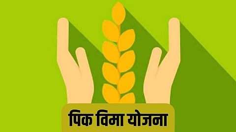 Crop Insurance