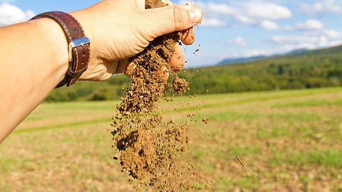 Soil Management