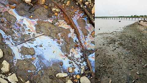Soil Pollution