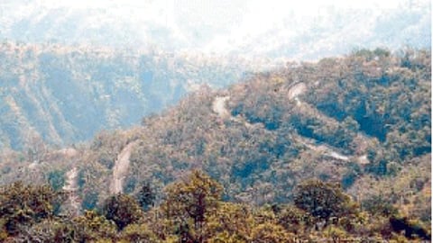 Satpuda Greenery