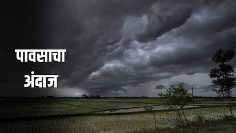 Rain Forecast