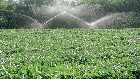 Irrigation