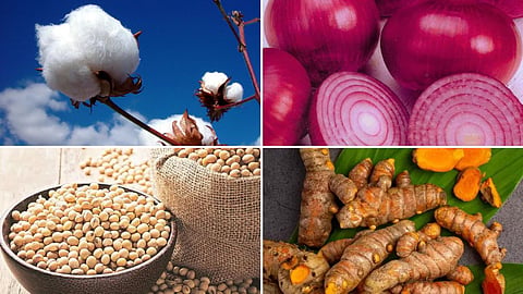 Agriculture Market