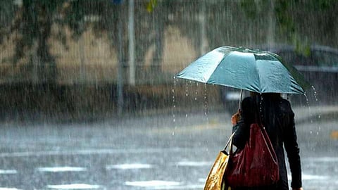 Rain Update