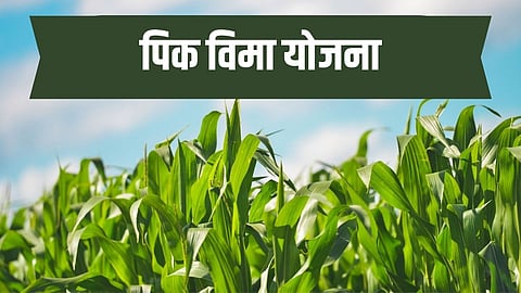 Crop Insurance