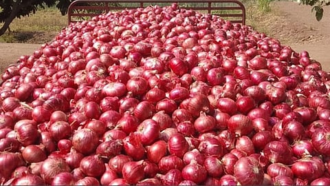 Onion
