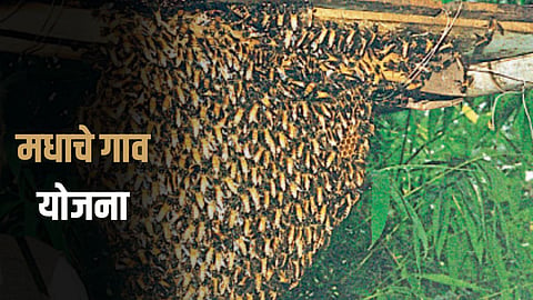 Honey Village Scheme