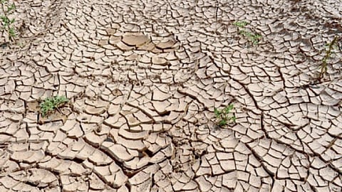 Drought Crisis