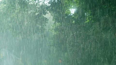 Rain Forecast