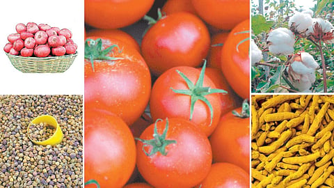 Agriculture Market