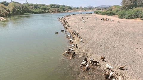 Chankapur Dam