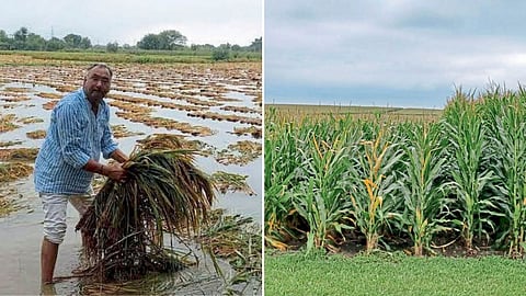 Agriculture Climate Change