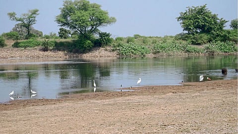 Watershed Area