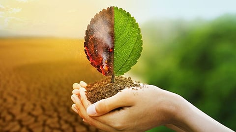 Environment Impact