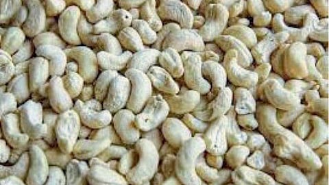 Cashew