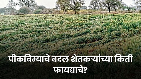 Crop Insurance