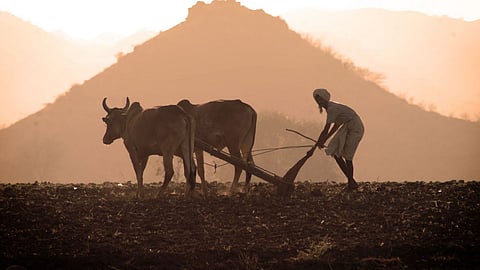 Agriculture