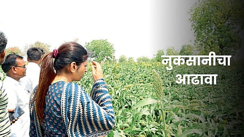 Crop Survey