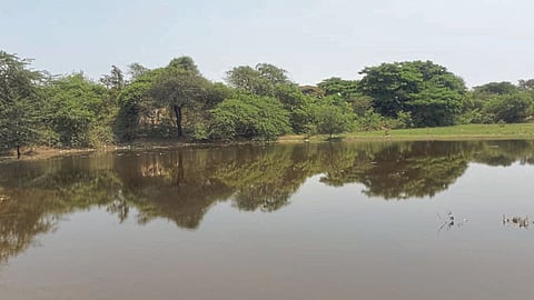 Yedgaon Dam