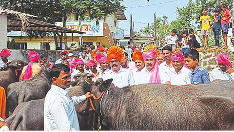 Gokul Dudh Sangh