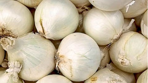 White Onion