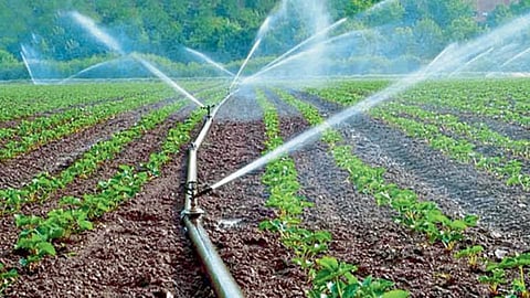 Agriculture Irrigation