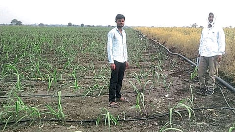 Water Scarcity