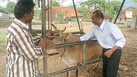 Animal Vaccination