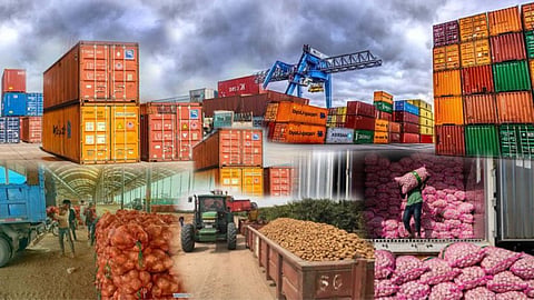 Agriculture Export