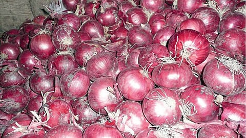 Onion