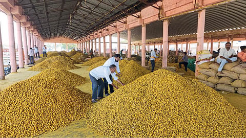 Turmeric