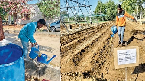 Sustainable Agriculture