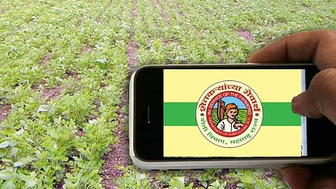 Crop Survey