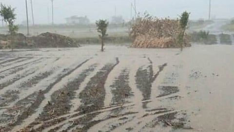 Rain Update