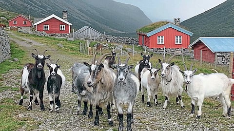 Norway