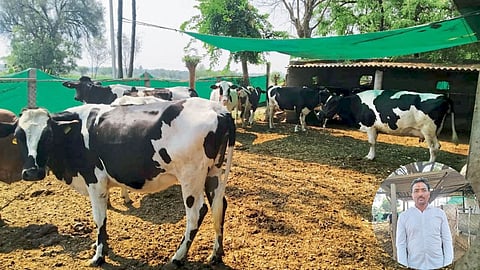 Animal Husbandry