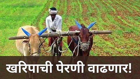 Kolhapur Kharip Crop