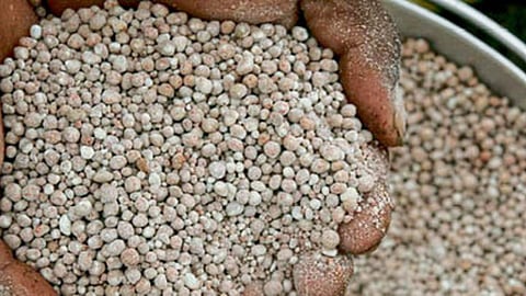 Fertilizer