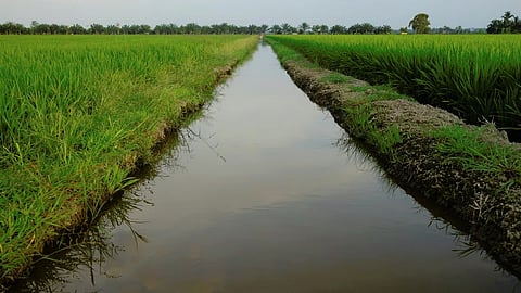Takari Upsa Irrigation Scheme